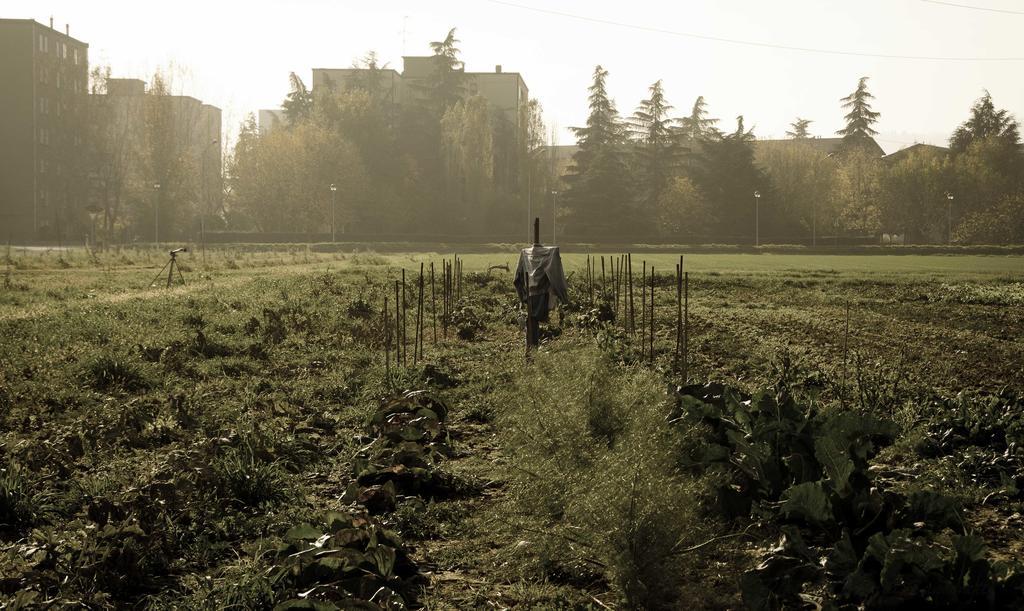 Podere San Giuliano Villa San Lazzaro di Savena Esterno foto